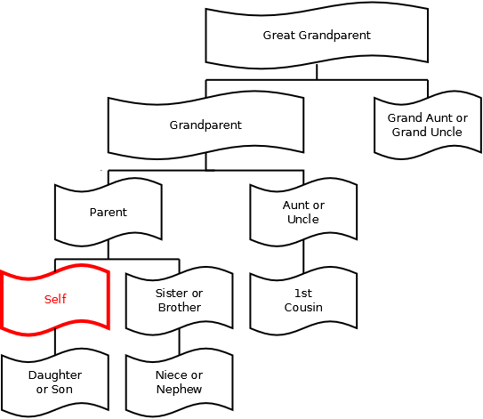 family tree template with siblings aunts uncles cousins